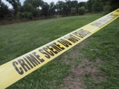 Woman arrested after nearly 100 malnourished, freezing cats rescued from Alabama home