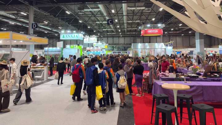 El futuro del mundo rural: relevo generacional, implementación de la inteligencia artificial y digitalización