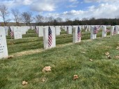 Middletown honors service members with Veterans Day ceremony