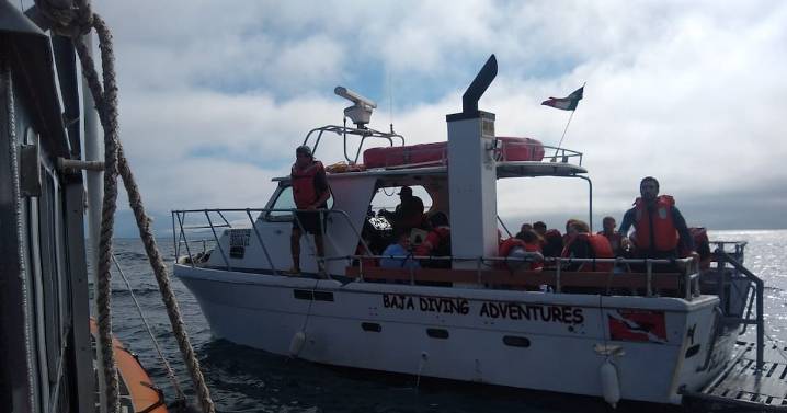 Realizan evacuación médica de tripulante a bordo de una embarcación turística en Ensenada