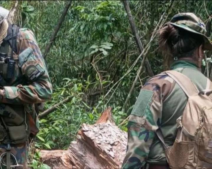 Ecología detectó nuevamente la extracción selectiva de madera nativa en el Parque Provincial Piñalito