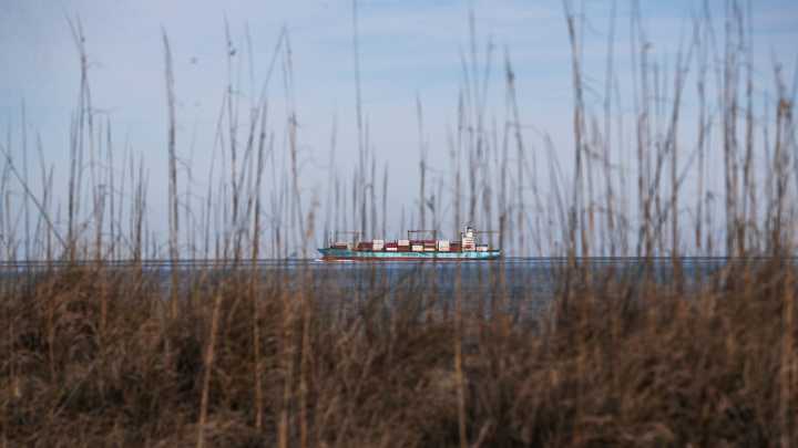 SPD responded to reports of a body in the Savannah River