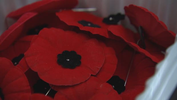 Here's where Manitobans can commemorate Remembrance Day