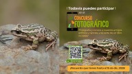 Profauna advierte sobre amenaza a anfibios y reptiles en Ayacucho y convoca a ciudadanos a registrarlos