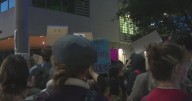Turning Point USA event at UC Berkeley prompts protest