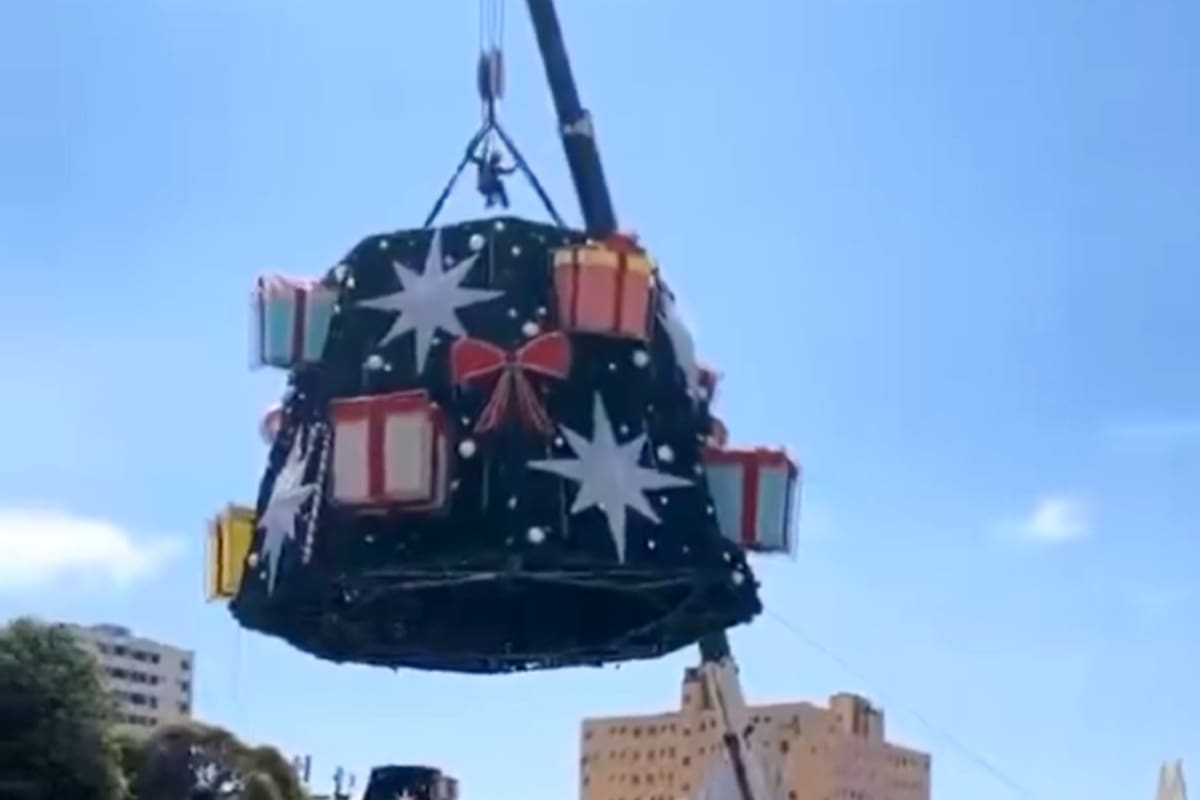 Tragedia en Brasil. Un árbol de Navidad de más de 20 metros se desplomó mientras lo instalaban y aplastó a un hombre