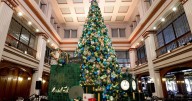 Legacy lit: How Macy’s holiday decor honors Marshall Field's