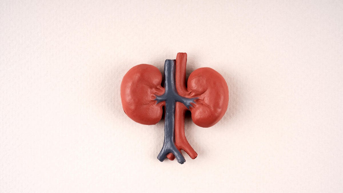 13 Superfoods That Will Show Your Kidneys Some Extra Love