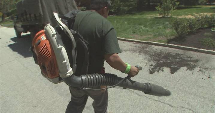 Gas-powered leaf blowers banned after Lower Merion commissioners vote