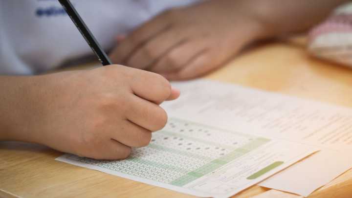 Megapuente de Noviembre 2025: ¿Qué Días No Hay Clases en Escuelas de Chihuahua?