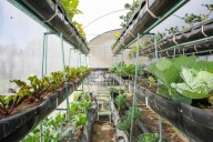 Tlaxcala logró reducir la carencia alimentaria al nivel más bajo desde 2008