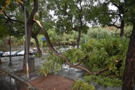 La borrasca 'Claudia' afecta a Huelva capital con numerosas caídas de ramas