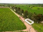 Productores laguneros rechazan propuesta de riego para el ciclo agrícola 2025