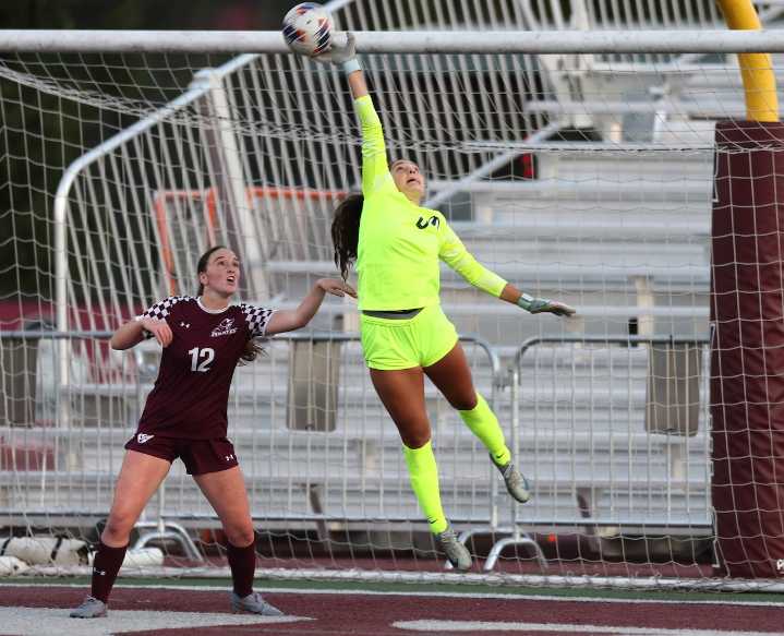 Ohio high school girls soccer’s best goalkeepers: Coach survey, All