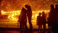 San Francisco’s Golden Gate Park to be a holiday lightscape