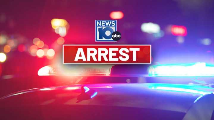 Albany man arrested after serial theft investigation