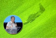 Defensoría del Pueblo exige al presidente Petro suspender bombardeos que puedan afectar menores de edad