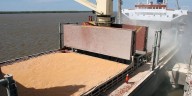 Por la suba de la soja y la mayor cosecha de maíz y trigo, el agro aportará USD 4.000 millones extra en 2025