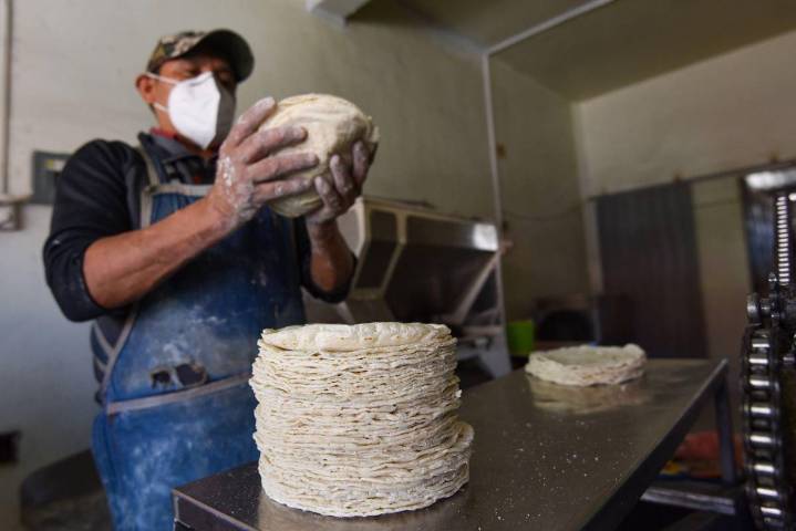 Nace la certificación oficial para tortilleros; ya podrán acreditarse ante la SEP