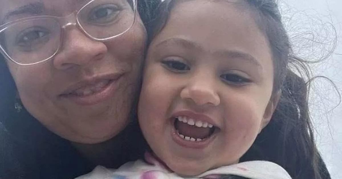 Girl, 4, rushed to hospital after pitbull 'took her face off' while on walk with mum