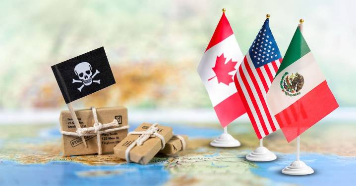 Piratería: álgido tema en T