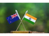 Indian diaspora sees huge potential to strengthen  India