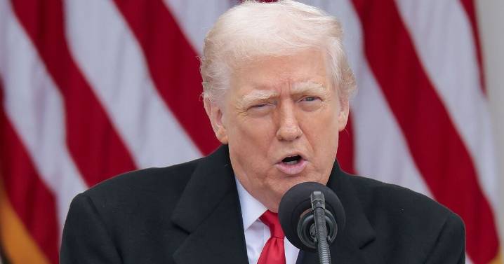 Sudan's Rapid Support Forces announce ceasefire after Trump threats 