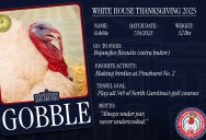 Final Vote Open for 2025 National Thanksgiving Turkey Pardoning Ceremony