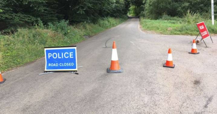 Childlike sex doll 'mistaken for body' found dumped in woods