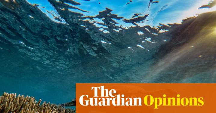 The rewriting of Australia’s nature laws come as a relief, yet I can’t help feel a sense of foreboding