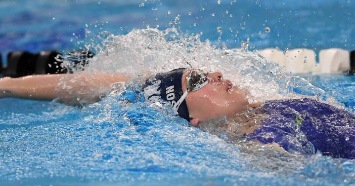 Dundee-Crown co-op leads area athletes at IHSA state swim meet: Friday’s Northwest Herald roundup – Shaw Local