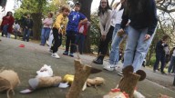 Un aula de Educación Infantil en pleno parque: así es la experiencia de los alumnos avilesinos que enseñan juegos tradicionales en el Ferrera