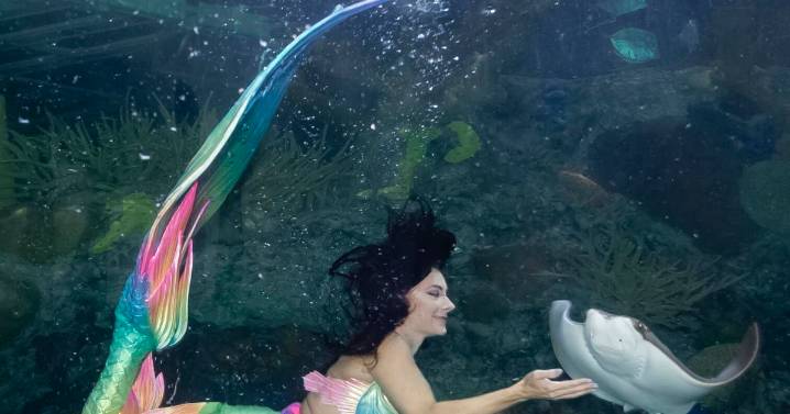 Ready for the weekend? Here are New Orleans events for the weekend