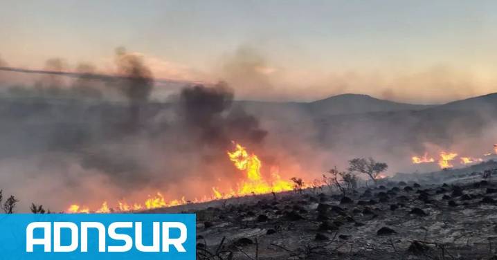 11:07 Incendio forestal en El Espinal: refuerzan el operativo para frenar el avance del fuego