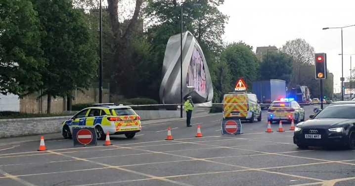 West London police ‘drove straight into’ elderly woman who died after Royal Family escort crash