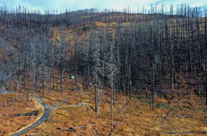 India Falls 13 Places In Latest Global Climate Change Performance