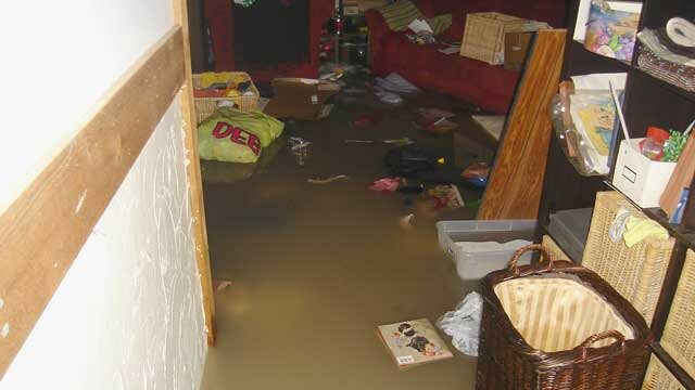 Steinbach Man Opens ‘Noah’s Ark Encounter’ in His Basement