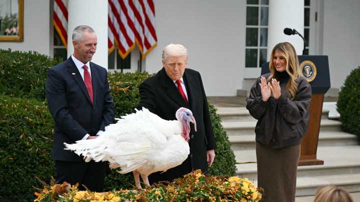 President, governor pardon NC turkeys before Thanksgiving