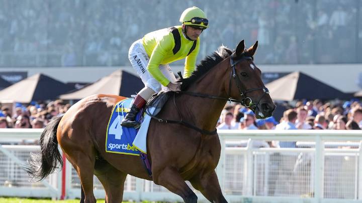 Form guide: Expert whacks 'excuses' surrounding UK import