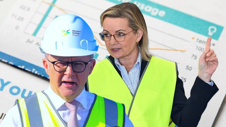 Opposition Leader Sussan Ley demands media ask Anthony Albanese six