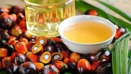 India’s vegetable oil imports flat at  16.3 million tonnes in 2024