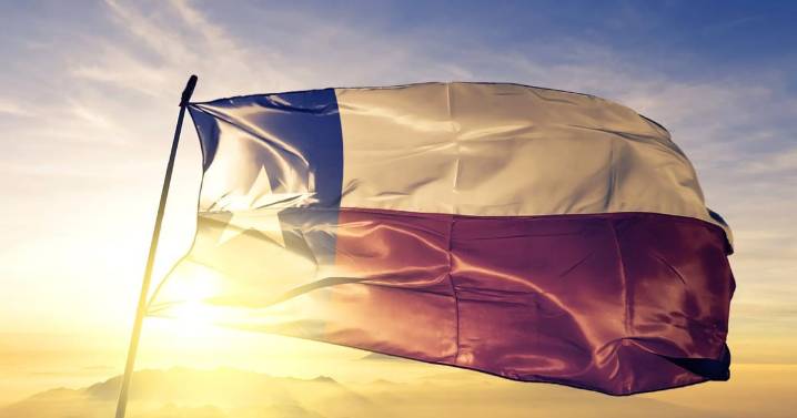 Texas voters approve 17 constitutional amendments on modest turnout