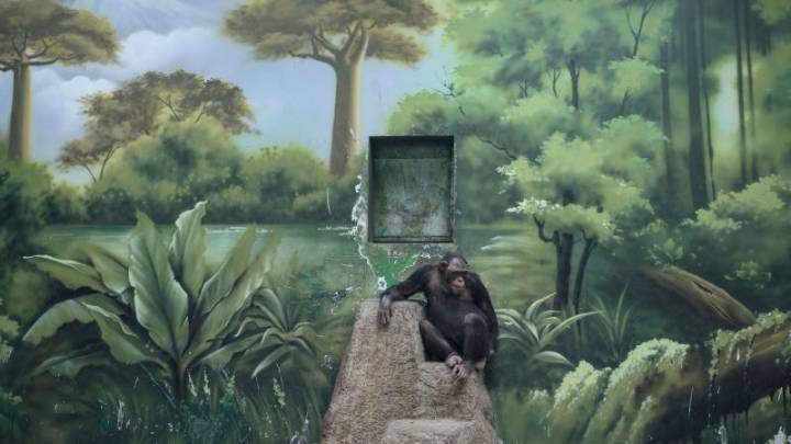 ‘We’re creating an illusion for ourselves’: Photographer explores how humans have lost touch with nature