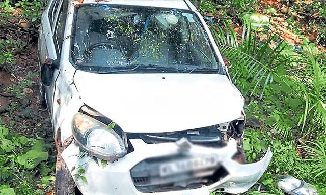 Sullia: Wild boar dashes onto road, car plunges off verge