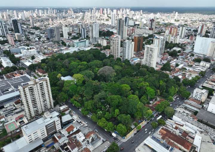 Gangs expand to nearly half the towns in the Brazilian Amazon, report finds