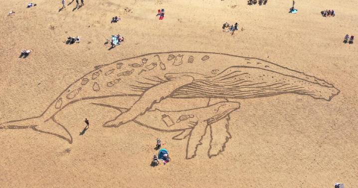 How little plastic does it take to kill marine animals? Scientists have answers