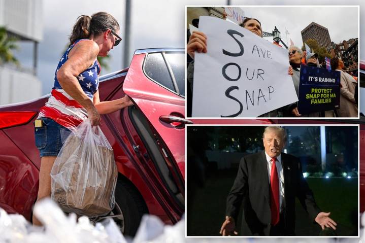 Trump administration cannot withhold $4 billion for food aid, US appeals court rules