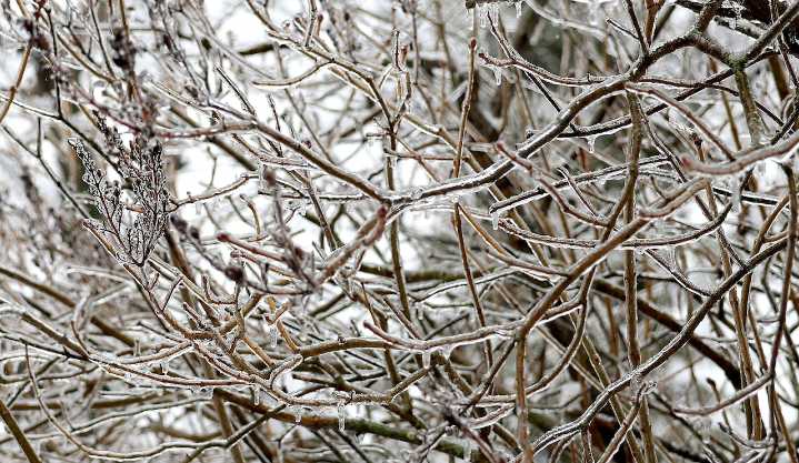 Mass. weather: Cold plunge brings chance of snow Sunday after rain Saturday