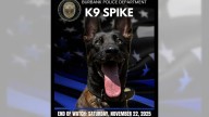 Police K-9 Spike dies after being shot in Burbank; Fleeing suspect also killed