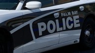 Palm Bay school shelter-in-place triggered by teen in vampire costume; no threat found, police say